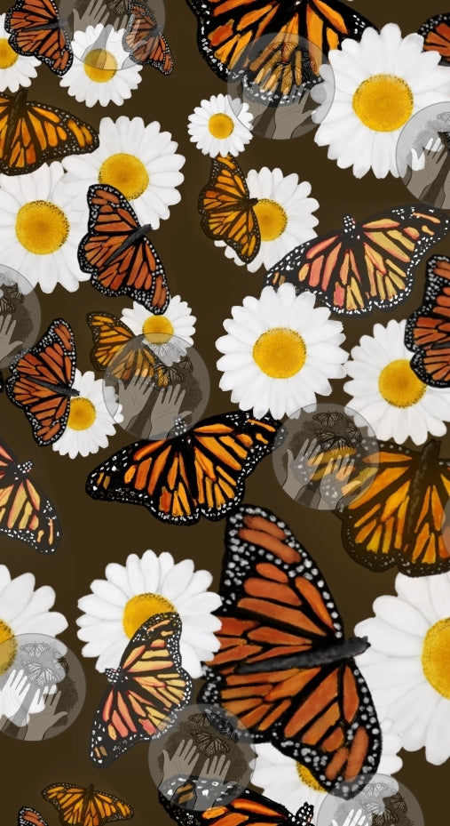 Butterflies and Daises